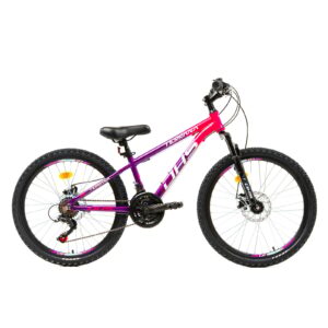 ΠΟΔΗΛΑΤΟ DHS 2423 24"